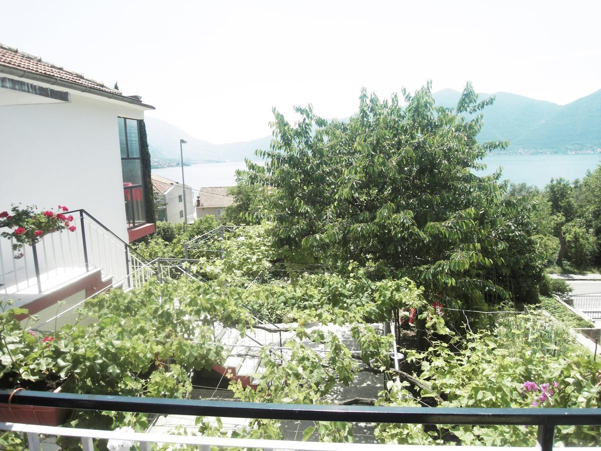 Apartment Ivana Cattaro Esterno foto